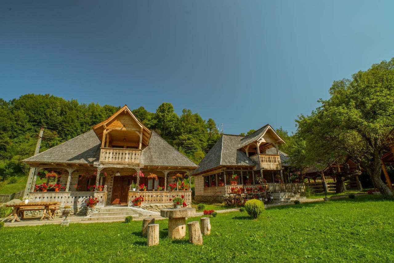 Hotel Casutele Din Moisei Exterior foto